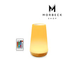 Luminária RGB com Controle Remoto 13 Cores