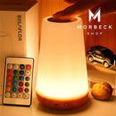 Luminária RGB com Controle Remoto 13 Cores